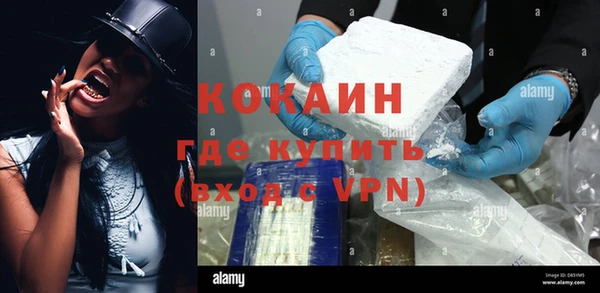 индика Армянск