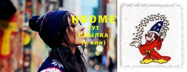 индика Армянск