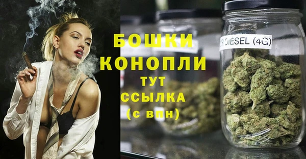тгк Арсеньев