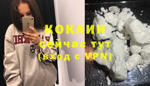 тгк Арсеньев
