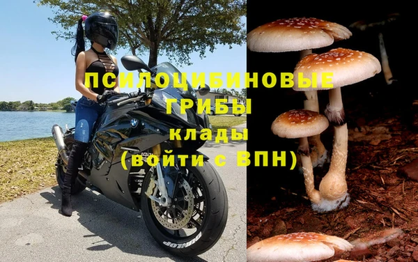 индика Армянск