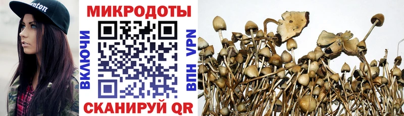 Псилоцибиновые грибы мицелий  как найти наркотики  Клин 