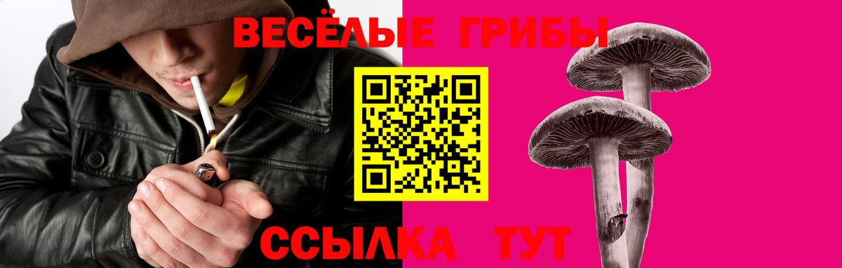 Клин  Галлюциногенные грибы Psilocybe  Галлюциногенные грибы Psilocybe  Вход с VPN 